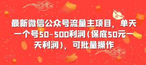 最新微信公众号流量主项目,单天一个号50-500利润(保底50元一天利润),可批量操作-风淘社