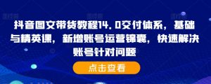 抖音图文带货教程14.0交付体系,基础与精英课,新增账号运营锦囊,快速解决账号针对问题-风淘社