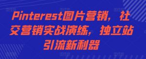 Pinterest图片营销,社交营销实战演练,独立站引流新利器-风淘社