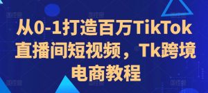 从0-1打造百万TikTok直播间短视频,Tk跨境电商教程-风淘社