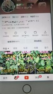 最新抖音暴力起万粉技术，一天涨万粉，发三四个作品涨近万粉-风淘社