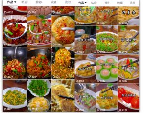 抖音带货美食领域课程,无需真人实拍仅靠剪辑实现涨粉-风淘社
