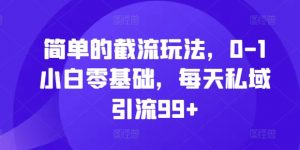 简单的截流玩法，0-1小白零基础，每天私域引流99+【揭秘】-风淘社