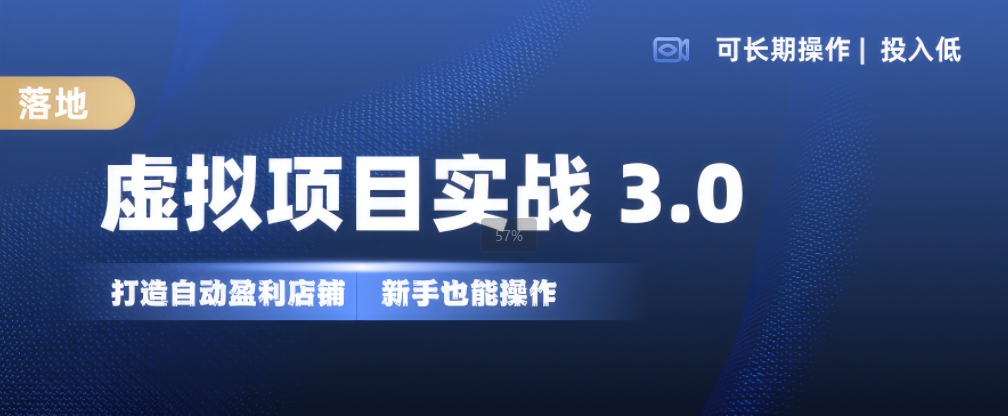 虚拟项目实战3.0,打造自动盈利店铺,可长期操作投入低,新手也能操作-风淘社