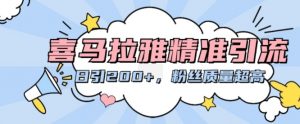 喜马拉雅精准引流,日引200+粉丝质量超高-风淘社