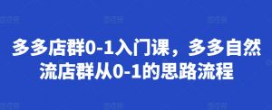 多多店群0-1入门课,多多自然流店群从0-1的思路流程-风淘社