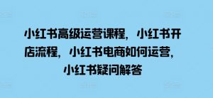 小红书高级运营课程,小红书开店流程,小红书电商如何运营,小红书疑问解答-风淘社