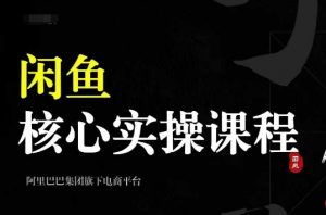 2024闲鱼核心实操课程,从养号、选品、发布、销售,教你做一个出单的闲鱼号-风淘社