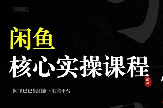 2024闲鱼核心实操课程,从养号、选品、发布、销售,教你做一个出单的闲鱼号-风淘社