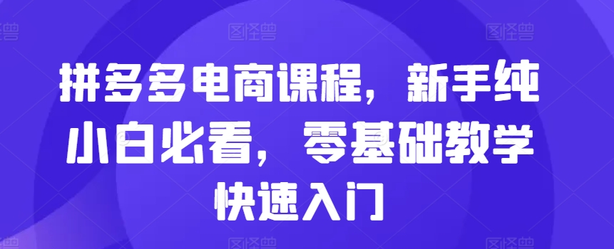 拼多多电商课程,新手纯小白必看,零基础教学快速入门-风淘社