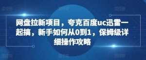网盘拉新项目，夸克百度uc迅雷一起搞，新手如何从0到1，保姆级详细操作攻略-风淘社
