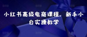 小红书高级电商课程,新手小白实操教学-风淘社