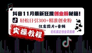 抖音11月最新狂揽创业粉秘籍，轻松日引300+精准创业粉，仅需图片+音频，轻松搞定创业类视频-风淘社