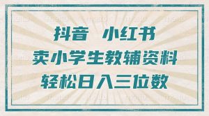 抖音小红书卖小学生教辅资料，操作简单，小白也能轻松上手，一个月利润1W+-风淘社