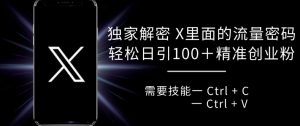 独家解密 X 里面的流量密码,复制粘贴轻松日引100+-风淘社