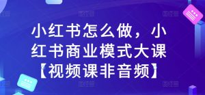 小红书怎么做,小红书商业模式大课【视频课非音频】-风淘社