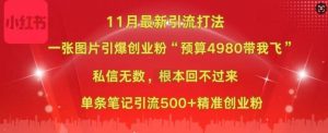 小红书11月最新图片打粉,一张图片引爆创业粉,“预算4980带我飞”,单条引流500+精准创业粉-风淘社