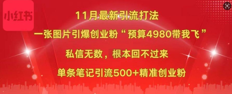 小红书11月最新图片打粉,一张图片引爆创业粉,“预算4980带我飞”,单条引流500+精准创业粉-风淘社