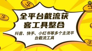 全平台截流获客工县整合全自动引流,日引2000+精准客户【揭秘】-风淘社