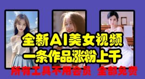 全新AI美女视频,一条作品涨粉上千,所有工具不用会员,全部免费-风淘社