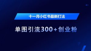 十一月小红书最新打法,单图引流300+创业粉【揭秘】-风淘社