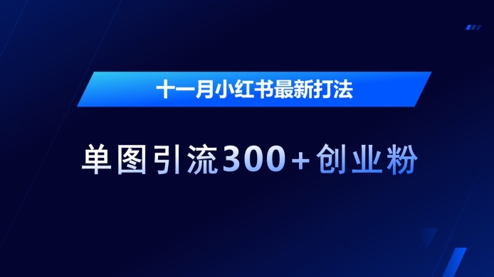 十一月小红书最新打法,单图引流300+创业粉【揭秘】-风淘社