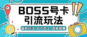 Boss直聘流量卡引流变现玩法，日引200+创业粉【揭秘】-风淘社