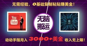 无需经验，0基础复制粘贴赚美刀，动动手指，月入3000+刀，无上限【揭秘】-风淘社