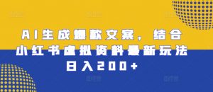 AI生成爆款文案,结合小红书虚拟资料最新玩法日入200+【揭秘】-风淘社
