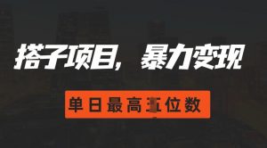 2024搭子玩法,0门槛,暴力变现,单日最高破四位数【揭秘】-风淘社
