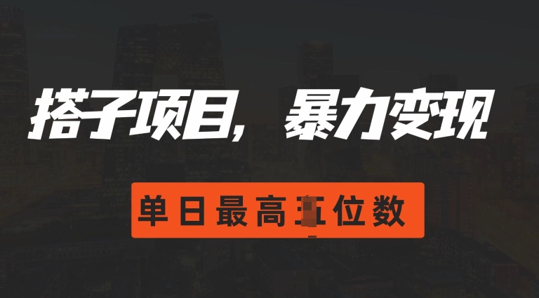 2024搭子玩法,0门槛,暴力变现,单日最高破四位数【揭秘】-风淘社