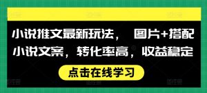 小说推文最新玩法， 图片+搭配小说文案，转化率高，收益稳定-风淘社