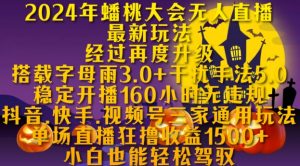 2024年蟠桃大会无人直播最新玩法,稳定开播160小时无违规,抖音、快手、视频号三家通用玩法【揭秘】-风淘社