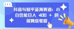 抖音与知乎蓝海赛道：小白也能日入 4张 的保姆级教程-风淘社