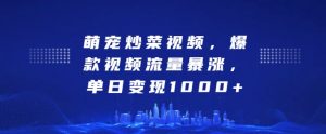 萌宠炒菜视频,爆款视频流量暴涨,单日变现1k-风淘社