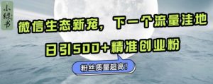 微信生态新宠小绿书：下一个流量洼地，日引500+精准创业粉，粉丝质量超高-风淘社