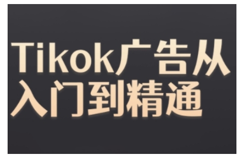 Tiktok Ads实操教程,Tiktok广告从入门到精通-风淘社