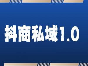 抖商服务私域1.0，抖音引流获客详细教学-风淘社