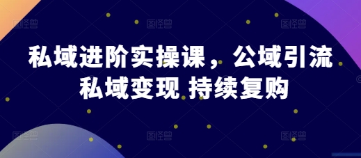 私域进阶实操课,公域引流 私域变现 持续复购-风淘社