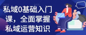 私域0基础入门课,全面掌握私域运营知识-风淘社
