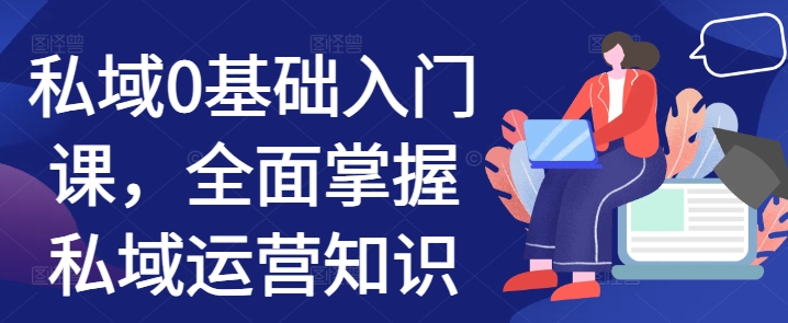 私域0基础入门课,全面掌握私域运营知识-风淘社