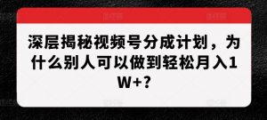 深层揭秘视频号分成计划,为什么别人可以做到轻松月入1W+?-风淘社