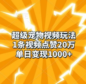 超级宠物视频玩法,1条视频点赞20万,单日变现1k-风淘社