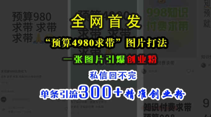 小红书“预算4980带我飞”图片打法,一张图片引爆创业粉,私信回不完,单条引流300+精准创业粉-风淘社