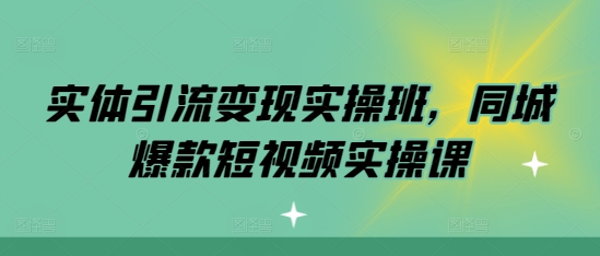 实体引流变现实操班,同城爆款短视频实操课-风淘社