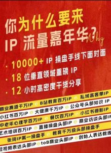 群响IP流量嘉年华,现场视频+IP江湖2024典藏版PPT-风淘社