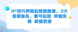 IP切片剪辑运营陪跑课，3大培训体系，账号运营 剪辑实操 快速变现-风淘社
