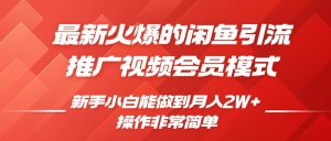 闲鱼引流推广影视会员,0成本就可以操作,新手小白月入过W+【揭秘】-风淘社