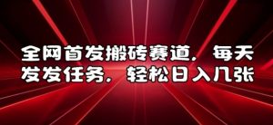 全网首发搬砖赛道，每天发发任务，轻松日入几张【揭秘】-风淘社
