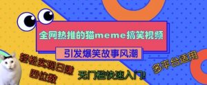 全网热推的猫咪搞笑视频，引发爆笑故事风潮，多平台适用，轻松实现日入四位数，无门槛快速入门!-风淘社